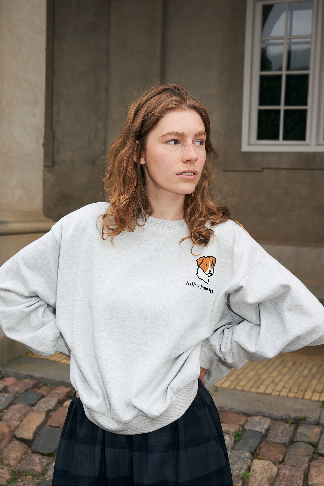 SydneyLL Dog Sweatshirt - Light Grey Melange