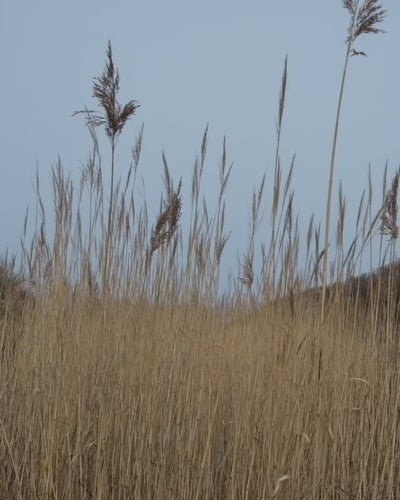 Video of a smiling woman with curly hair at the beach and in tall wheat grass, wearing colorful floral summer styles from Lollys Laundry, feminine dresses, and matching blazer and trousers sets, styled with a flower bouquet.